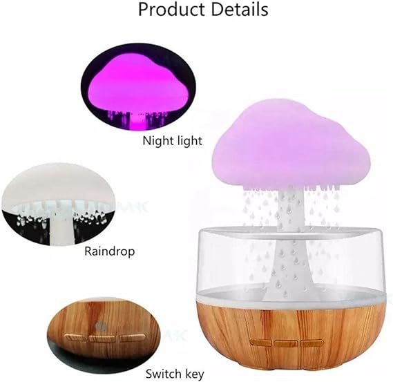 Rain Cloud Humidifier